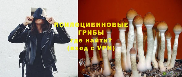 ГАЛЛЮЦИНОГЕННЫЕ ГРИБЫ Арсеньев