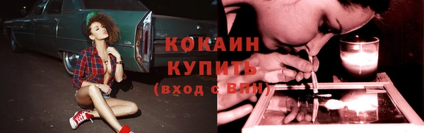 ГАЛЛЮЦИНОГЕННЫЕ ГРИБЫ Арсеньев