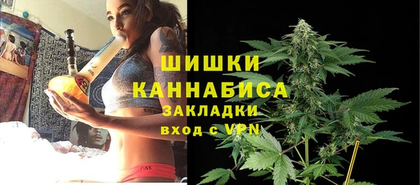 ГАЛЛЮЦИНОГЕННЫЕ ГРИБЫ Арсеньев